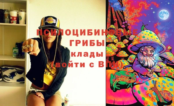 индика Балабаново
