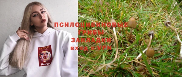 бошки Баксан