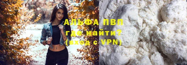 индика Балабаново