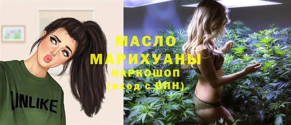 индика Балабаново
