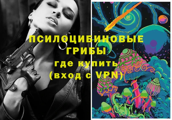 индика Балабаново