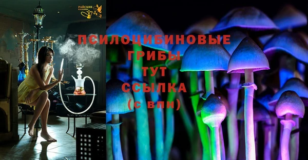 индика Балабаново