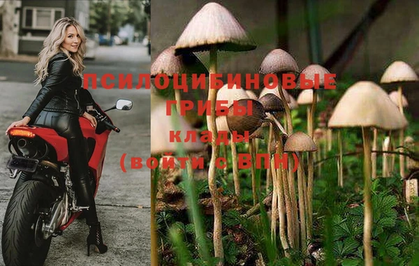 бошки Баксан