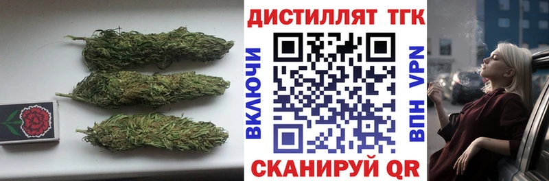 ТГК концентрат  Вяземский 