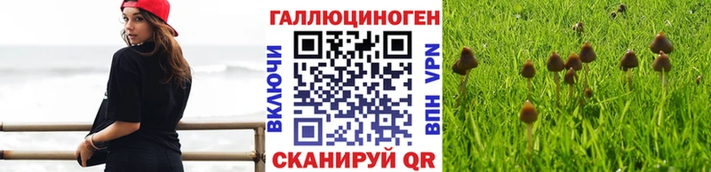 Псилоцибиновые грибы MAGIC MUSHROOMS  Вяземский 